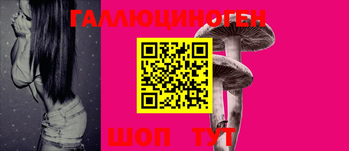 Псилоцибиновые грибы Cubensis  Вход с VPN  Белгород 